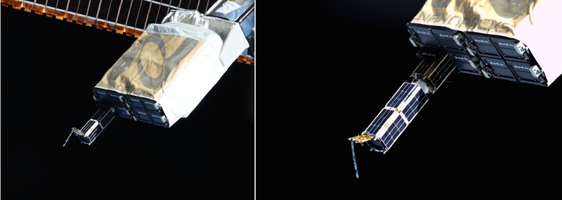 Illustration for article titled These Tiny Satellites Just Left The International Space Station